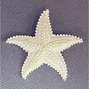 Silver vintage Monet starfish brooch.